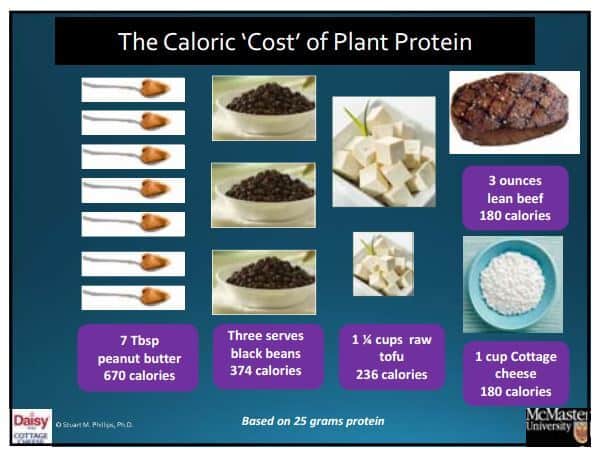 Caloric Cost of Plant Proteins