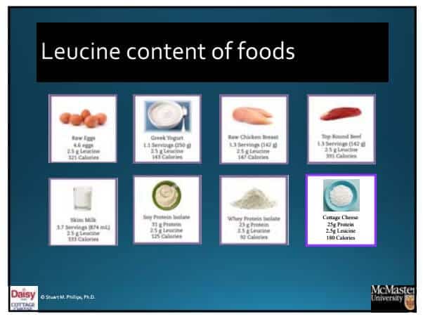 Leucine Content of Foods