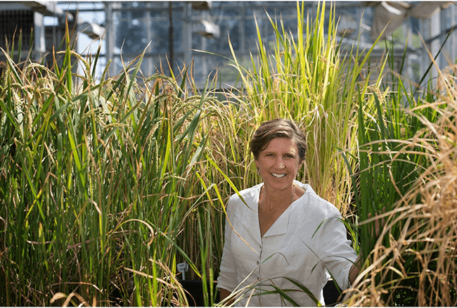 Pam Ronald, National Geographic