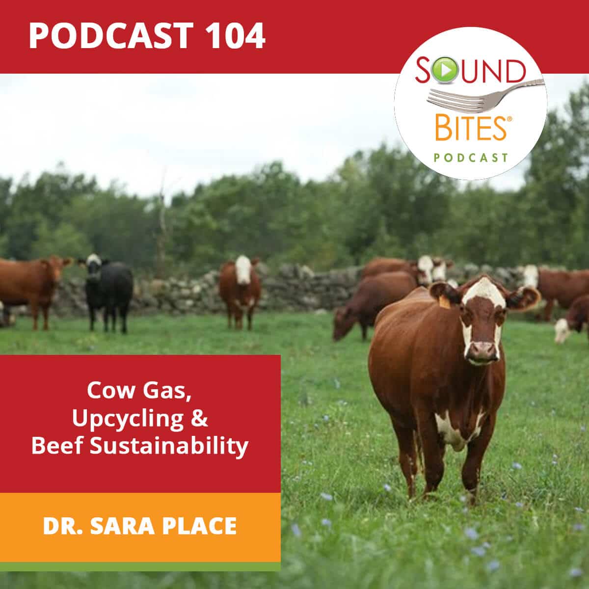 Sound Bites Podcast Episode 104: Cow Gas, Upcycling and Beef Sustainability – Dr. Sara Place