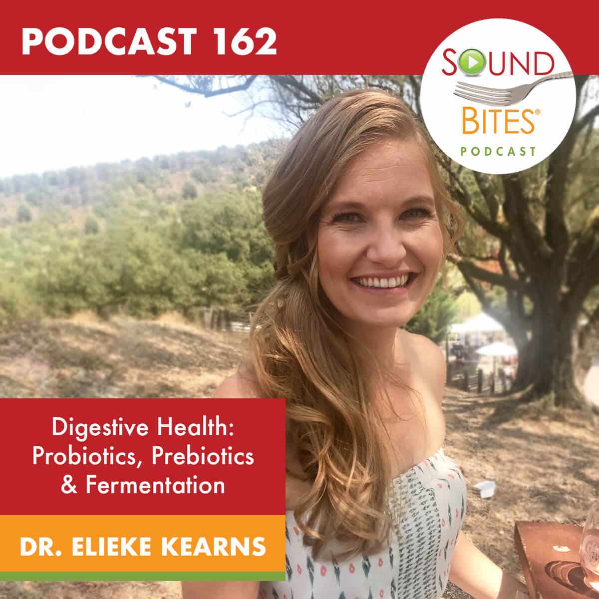 Digestive Health: Probiotics, Prebiotics & Fermentation – Dr. Elieke Kearns