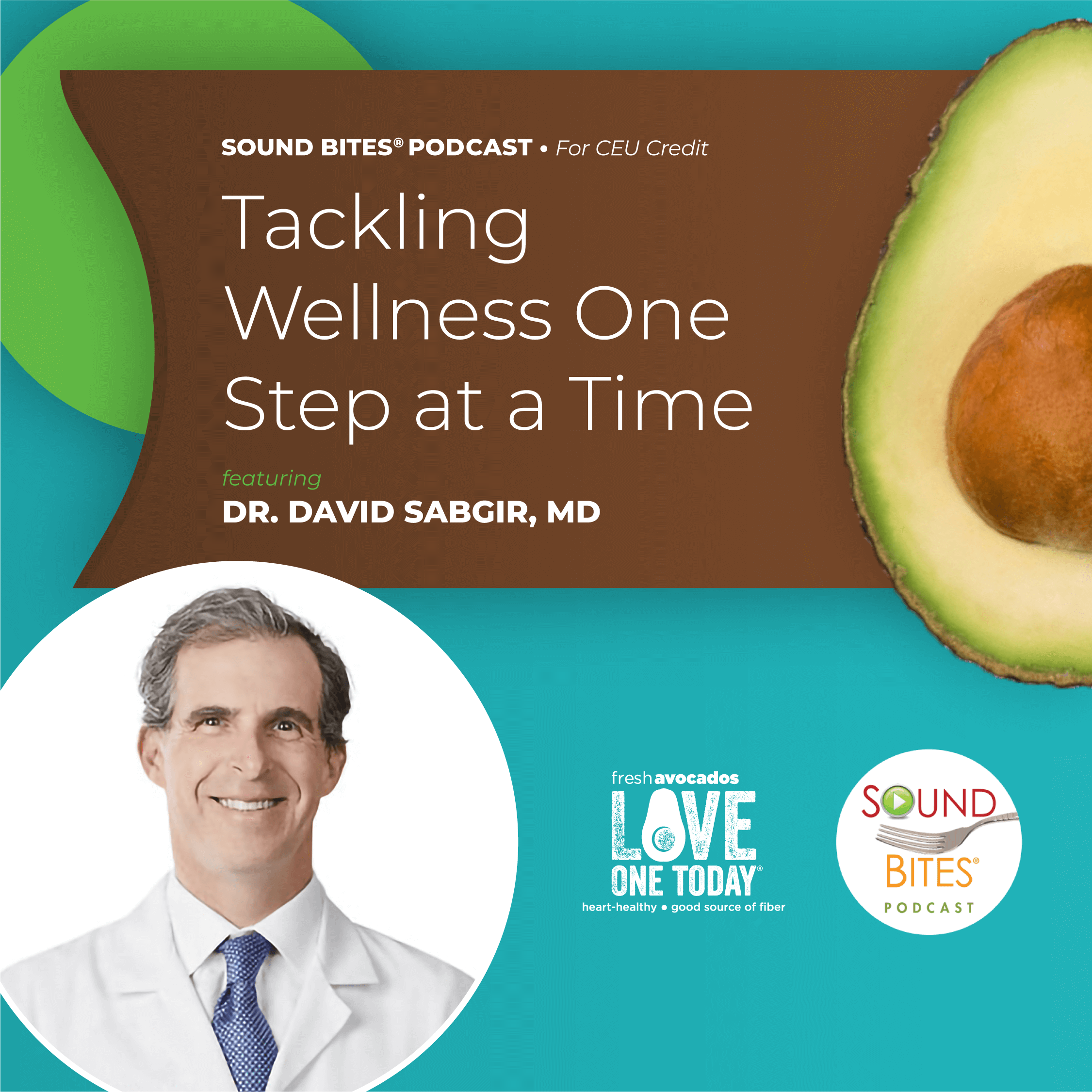 Podcast Episode 209: Tackling Wellness One Step at a Time - Dr. David Sabgir